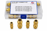 12 Piece DOT Straight Brass Push in Hose Connect Grab Kit Assortment - Twin Eagle Imports