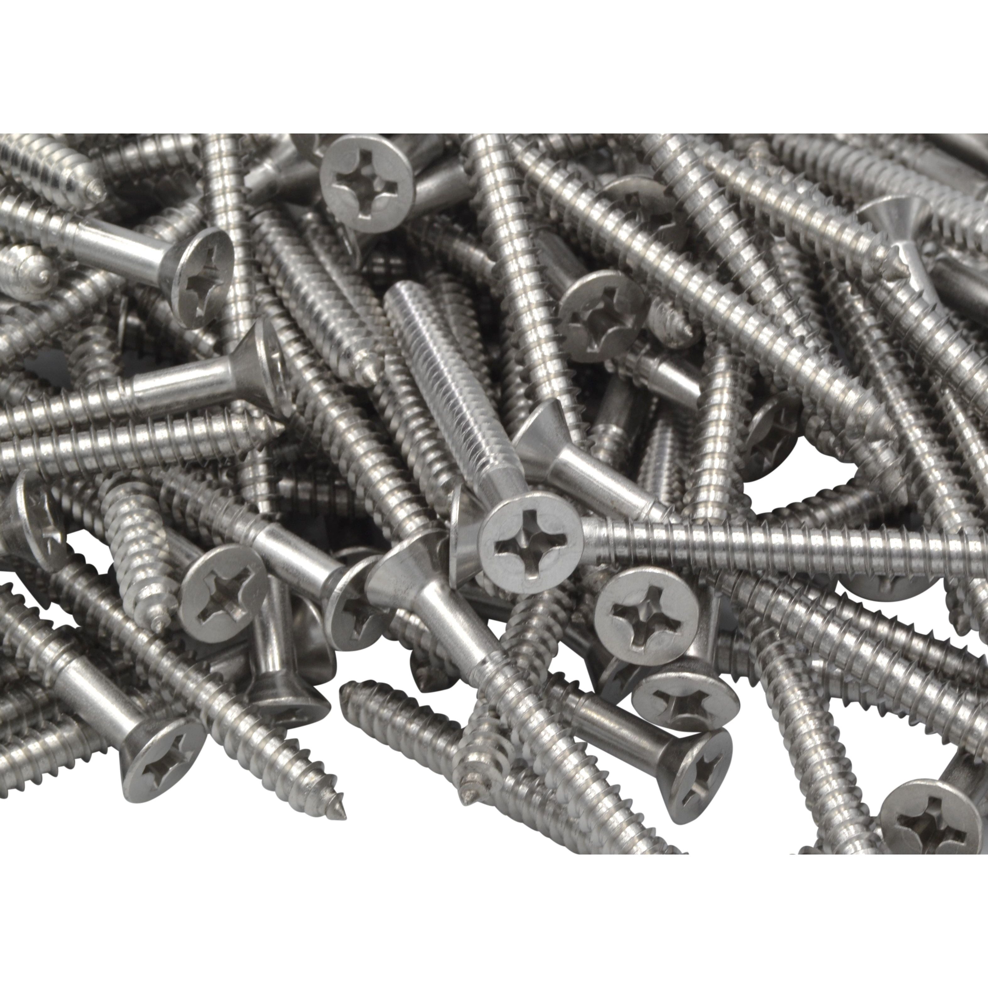 x500 304 Stainless Steel Wood and Pan Screws Grab Kit