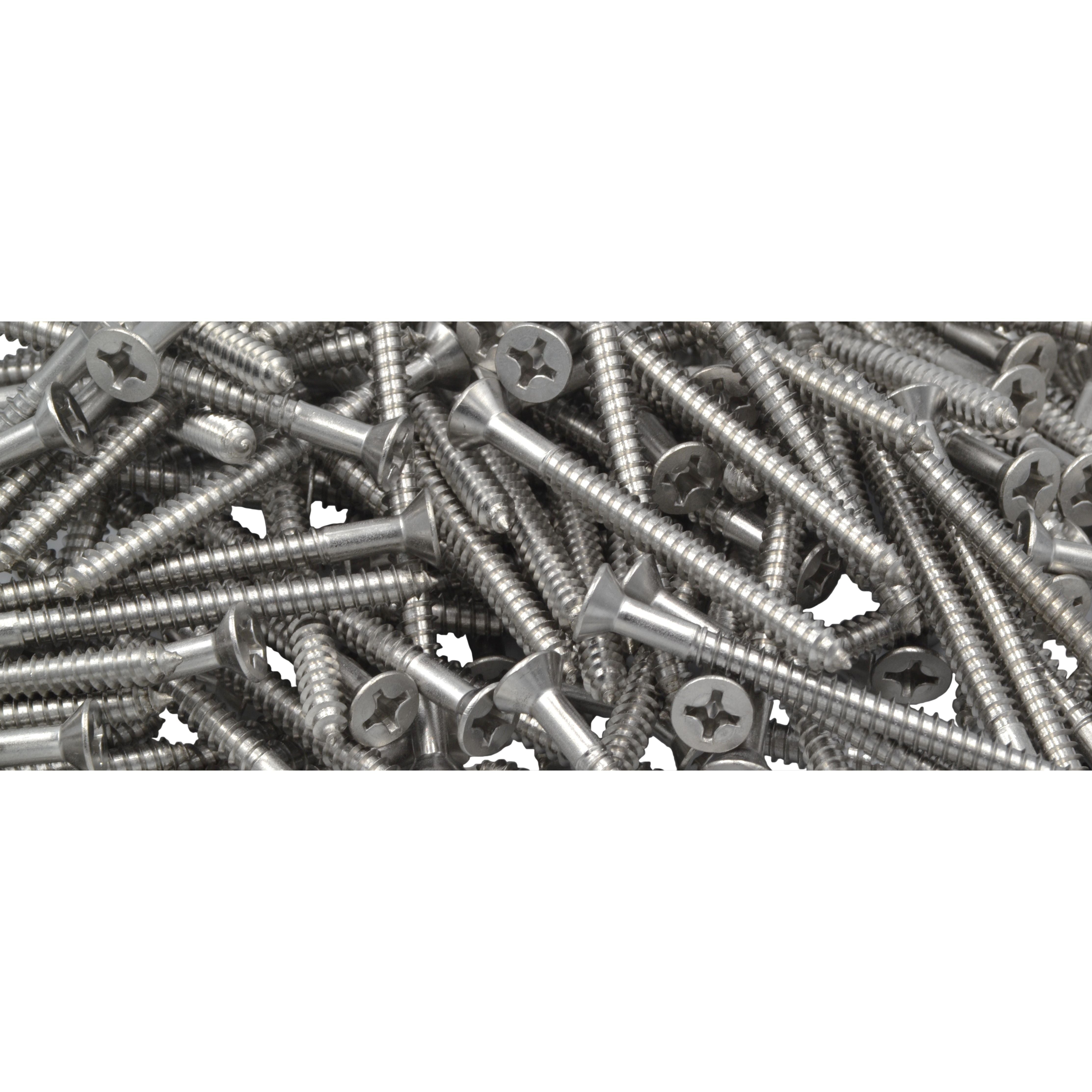 x500 304 Stainless Steel Wood and Pan Screws Grab Kit