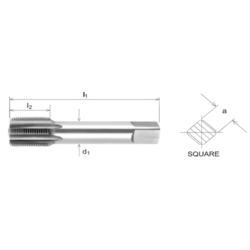 Capital HSS 1/4" BSPF Intermediate Tap – T405-2819 - Twin Eagle Imports