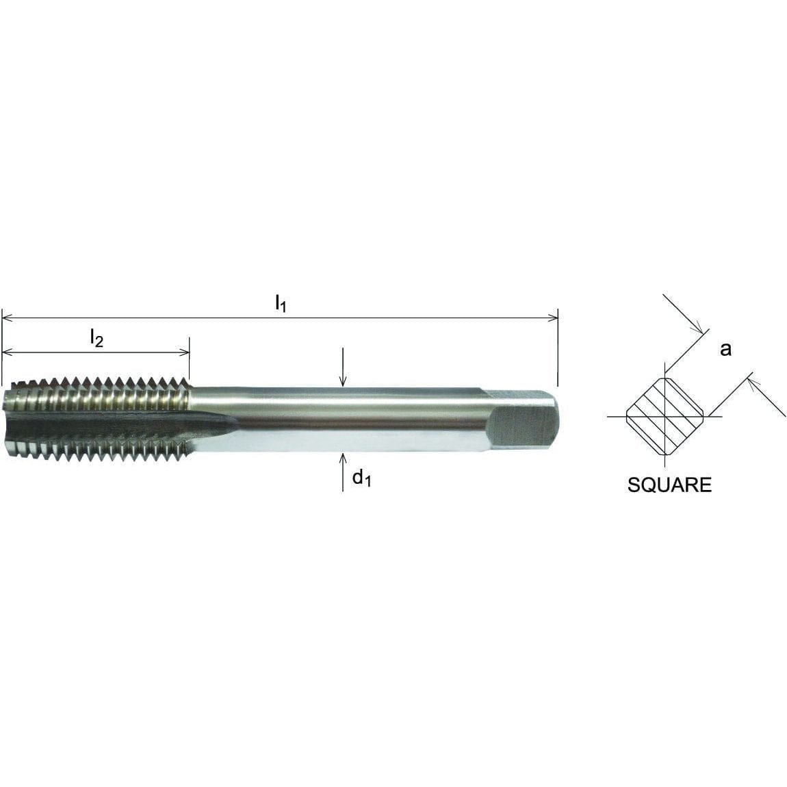 Capital HSS Left-Hand Second Tap M10 x 1.25mm - Twin Eagle Imports
