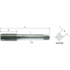Capital HSS Left-Hand Second Tap M10 x 1.25mm - Twin Eagle Imports