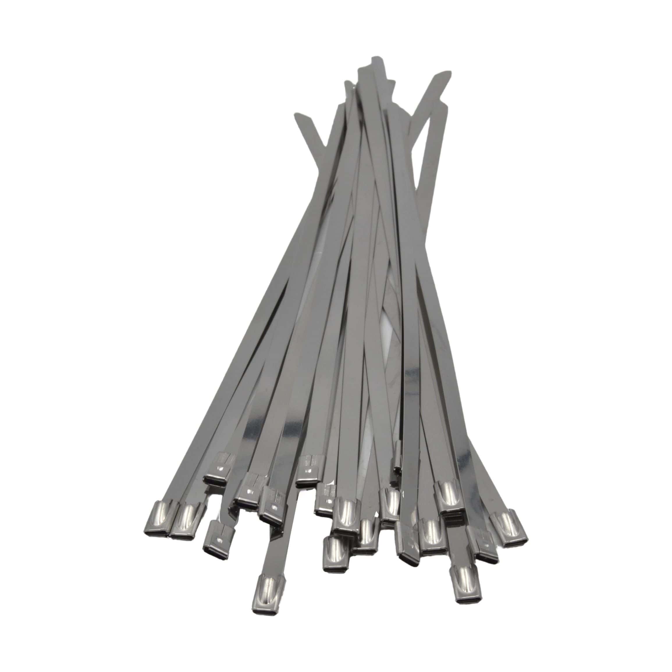 Raptor Cable Tie RAPTOR 304 Stainless Steel 300mm x 4.8mm Cable Ties, 20 Pack