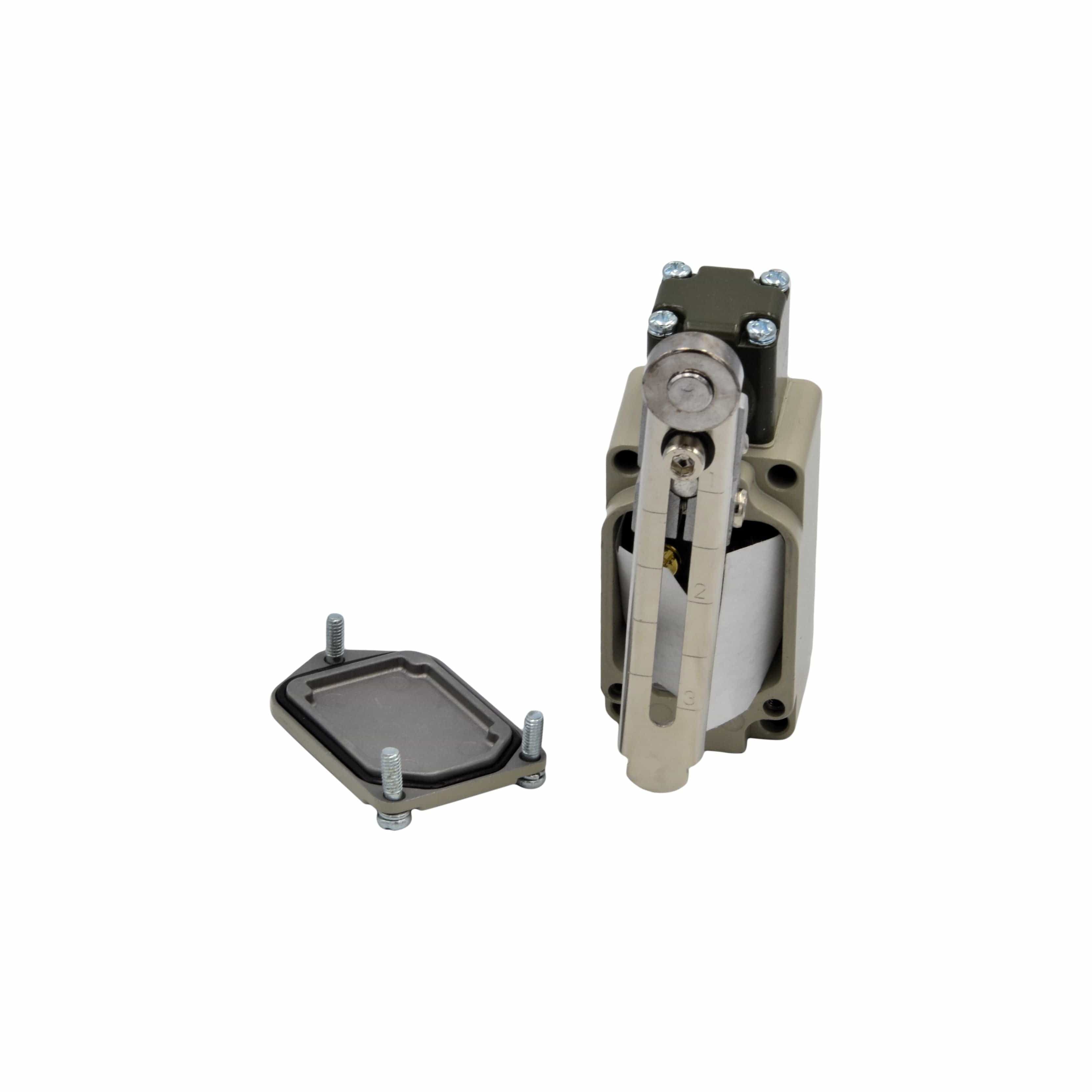 Tianyi Switch WLCA12-2-Q MicroLimit Switch with Adjustable Roller Arm