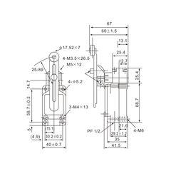 Tianyi Switch WLCA12-2-Q MicroLimit Switch with Adjustable Roller Arm