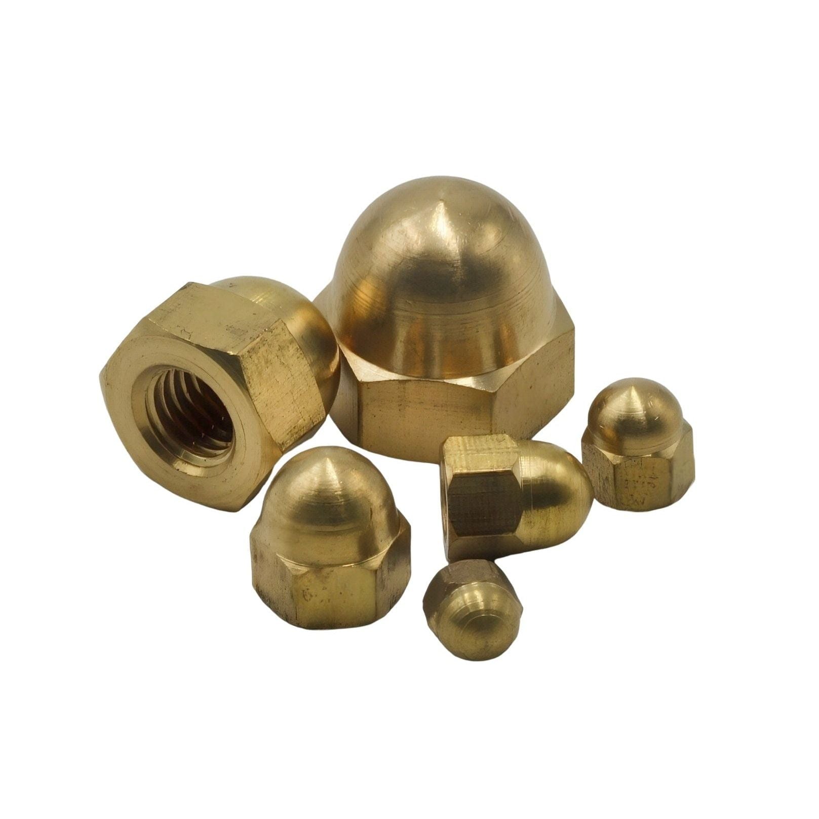 Twin Eagle Imports Grab Kits 122pc Brass Hex Dome Nuts Grab Kit