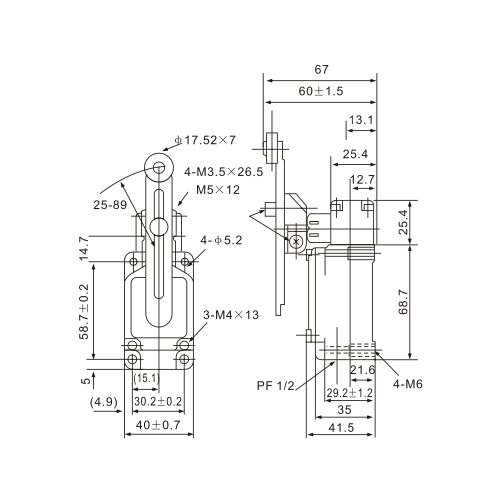 WLCA12-2-Q MicroLimit Switch with Adjustable Roller Arm - Twin Eagle Imports