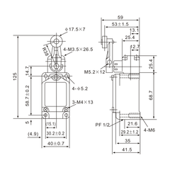 WLCA2-2 Micro Limit Switch with Adjustable Lever Roller Arm - Twin Eagle Imports
