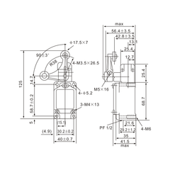 WLCA32-41 Adjustable Stainless Steel Roller Limit Switch - Twin Eagle Imports