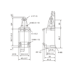 WLD2 Parallel Top-Roller Stainless Plunger Limit Switch - Twin Eagle Imports