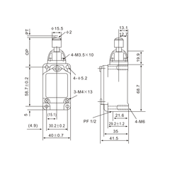 WLD3 Stainless Steel Button Plunger Limit Switch - Twin Eagle Imports