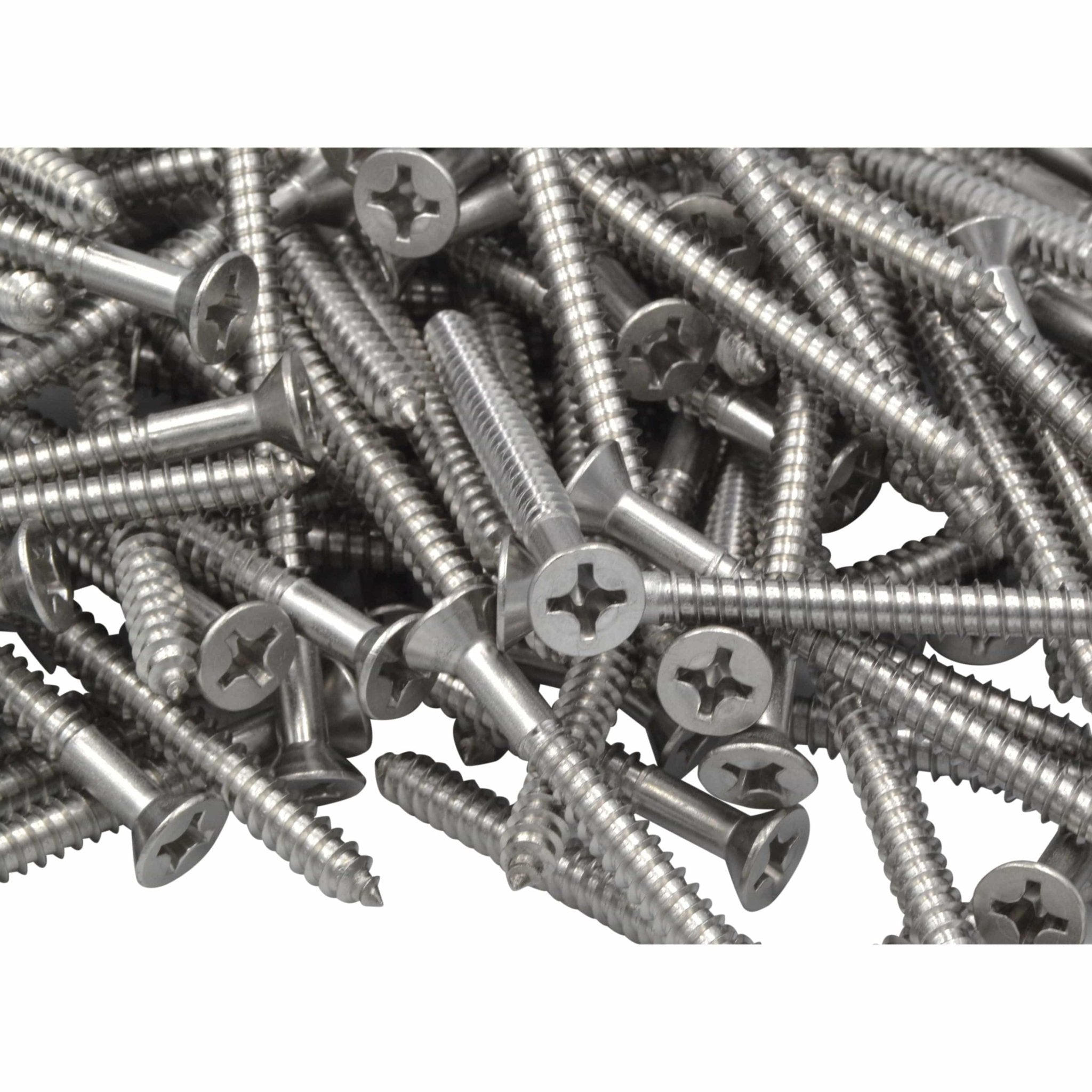 x1000 304 Stainless Steel 12G x 63mm Wood Screws Grab Kit - Twin Eagle Imports