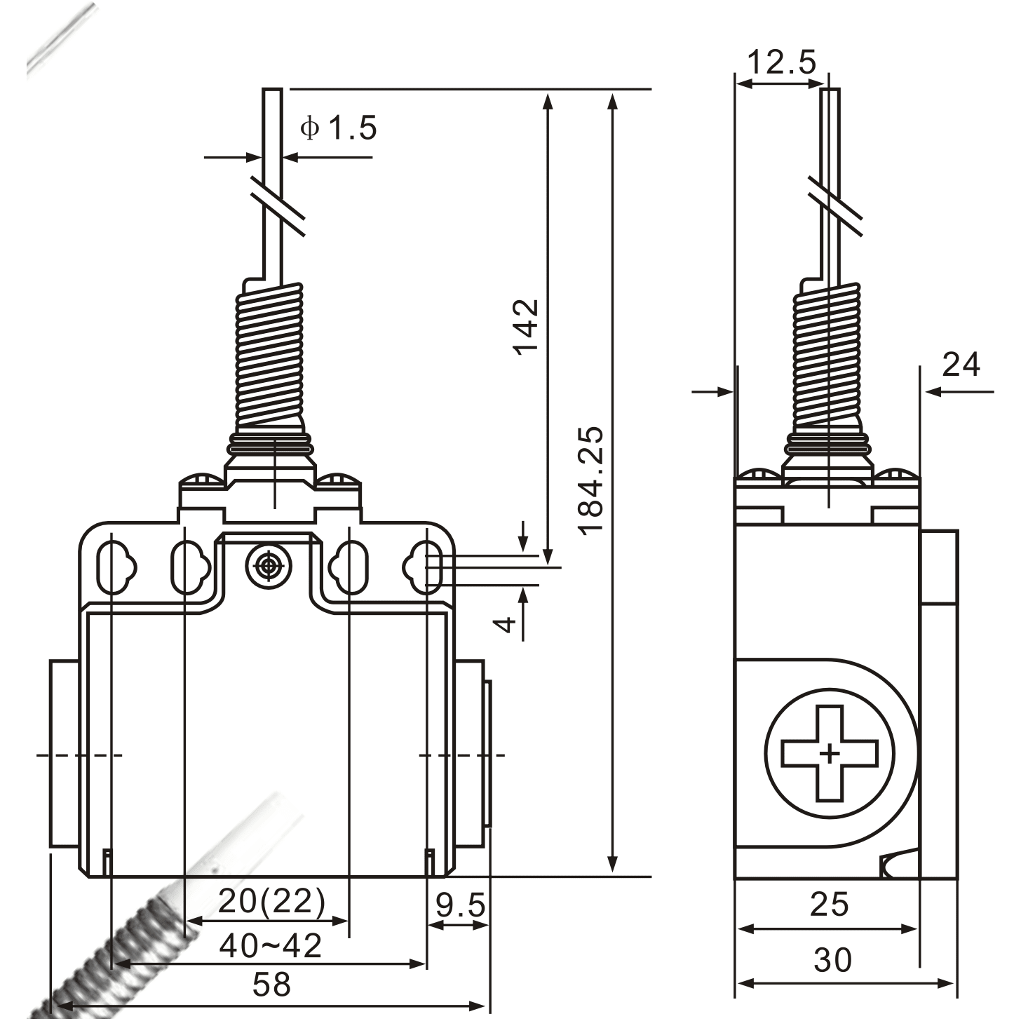 XCK-T161 Coiled Spring Contact Rod Actuator Limit Switch - Twin Eagle Imports
