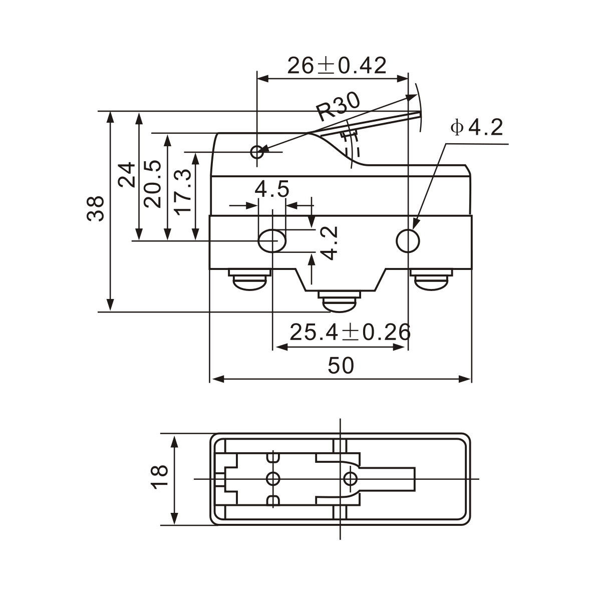 Z-15GW21-B Short Hinge, Stainless Steel Lever Micro Limit Switch - Twin Eagle Imports