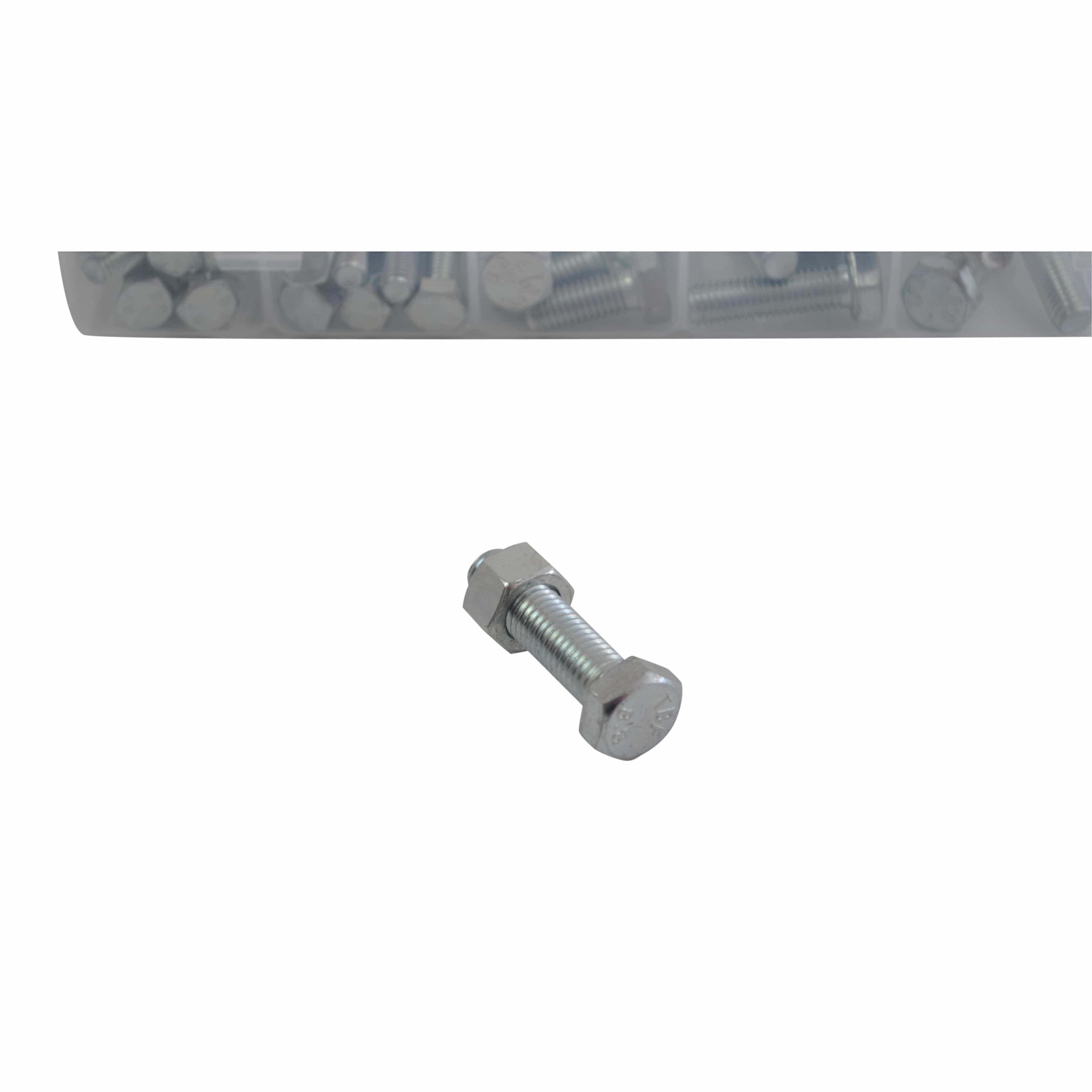 Twin Eagle Imports Grab Kits 316pc High Tensile Hex Head Bolt and Nut